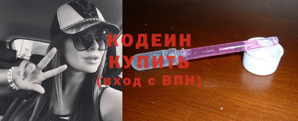 крисы Пенза