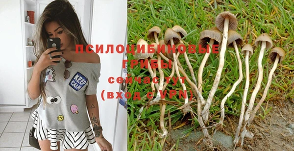 ешки Балашиха