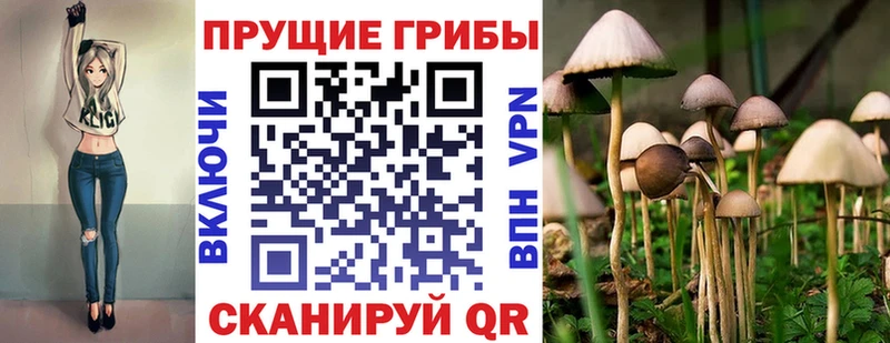 наркотики  Ардон  Псилоцибиновые грибы мухоморы 
